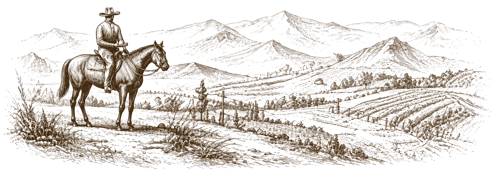 A cowboy on horseback overlooks fields and mountains in a detailed, vintage-style landscape drawing.