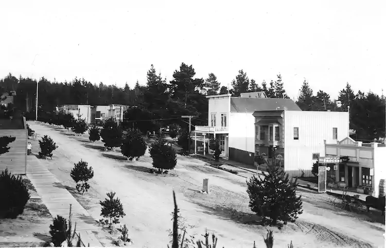 Black and white photo of a small towns dirt road lined with trees and wooden buildings, circa early 1900s.